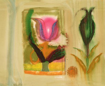 Flower burst by Michael Chase